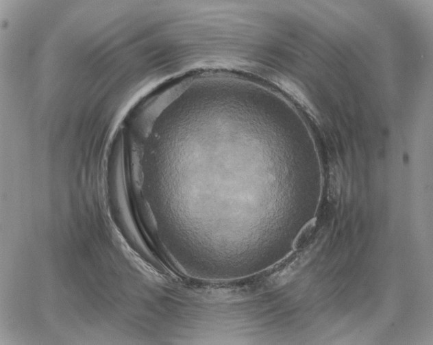 X0000066520976200603241332