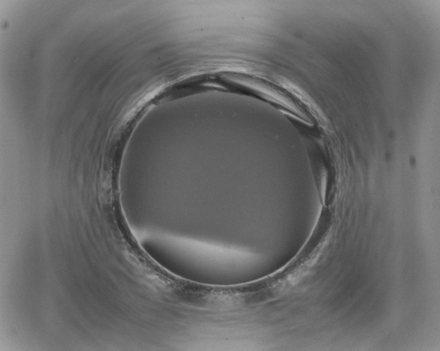 X0000066520977200603241332