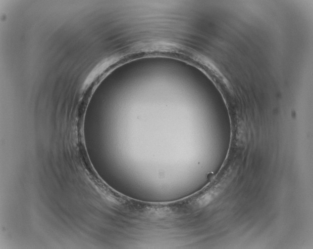 X0000066520978200603241332