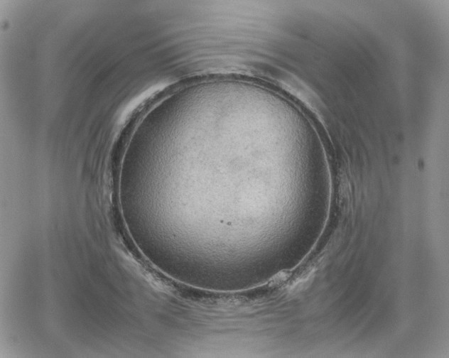 X0000066520979200603241332