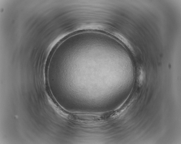 X0000066520980200603241332