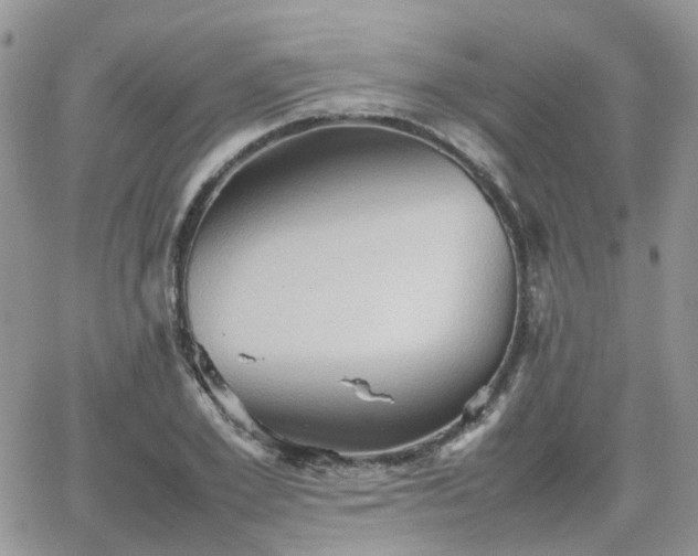 X0000066520981200603241332