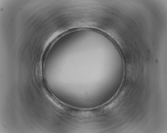 X0000066520982200603241332