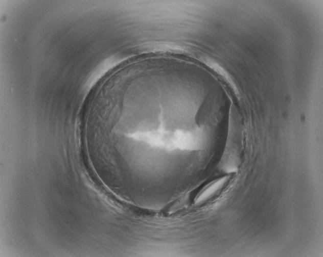 X0000066520983200603241332