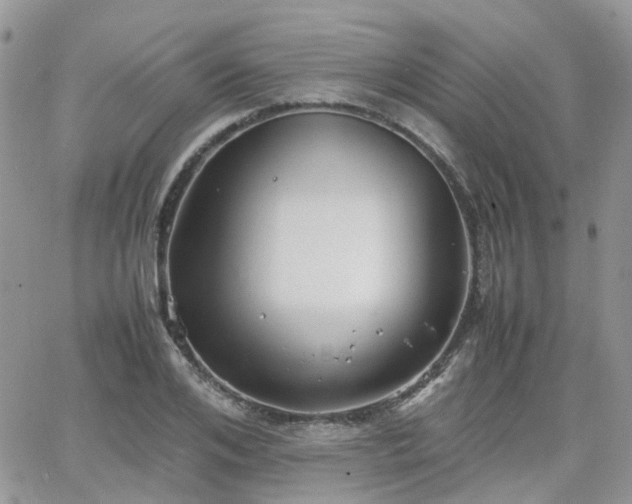 X0000066520984200603241332