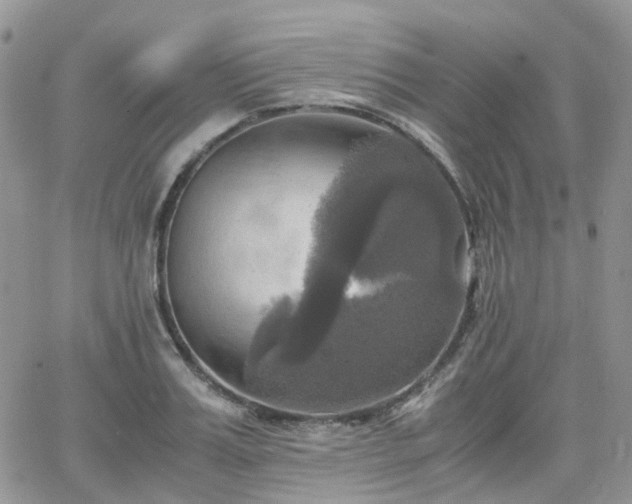 X0000066520987200603241332