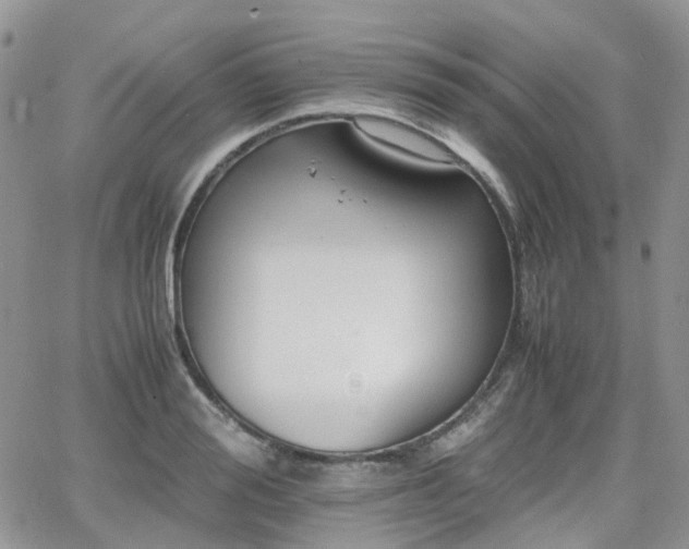 X0000066520988200603241332