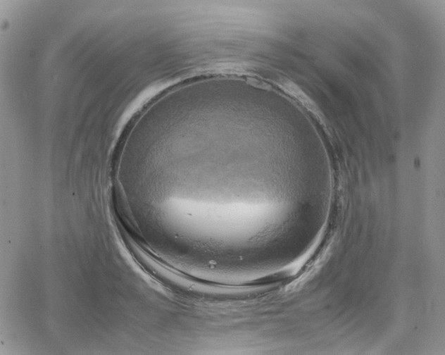 X0000066520989200603241332