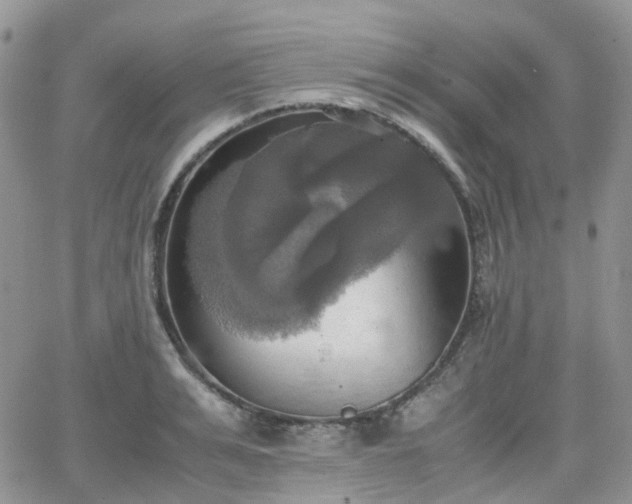 X0000066520991200603241332