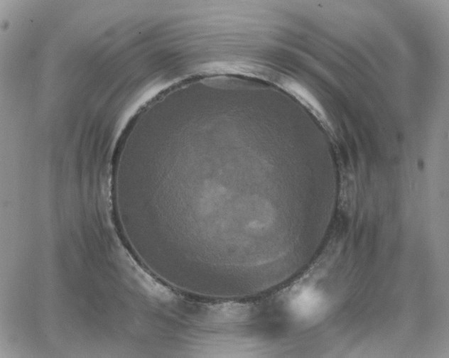 X0000066520992200603241332