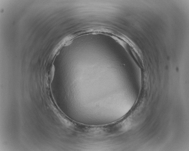 X0000066520993200603241332