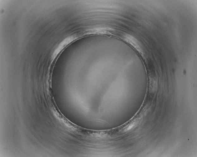 X0000066520994200603241332