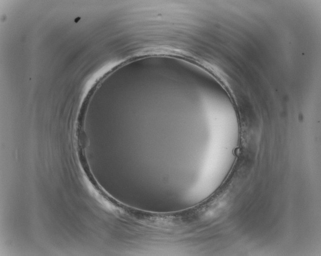 X0000066520995200603241332