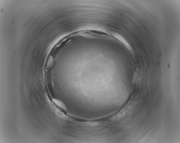 X0000066520996200603241332