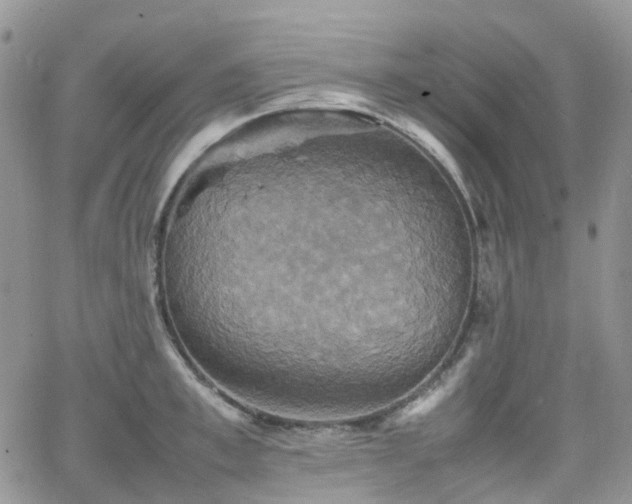 X0000066520997200603241332