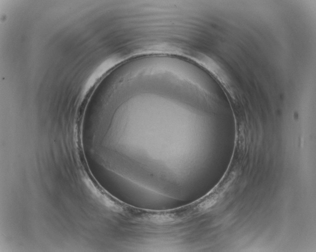 X0000066520998200603241332