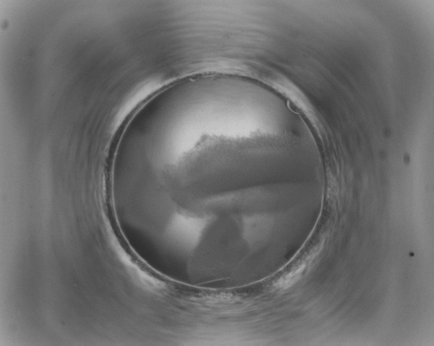 X0000066520999200603241332