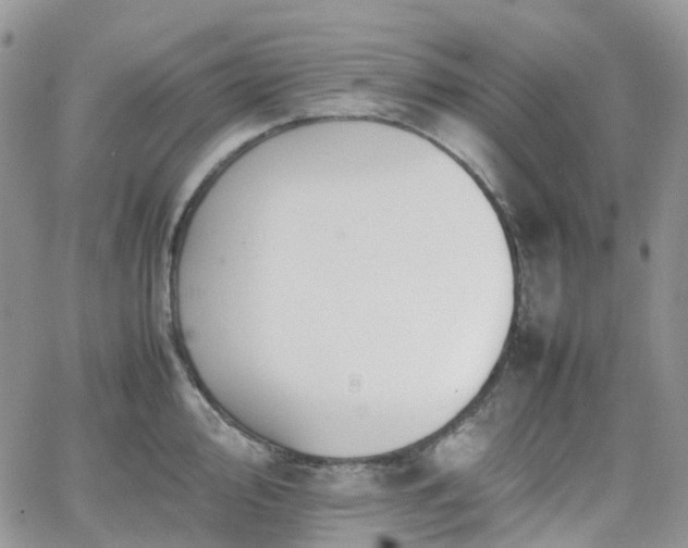 X0000066521000200603241332