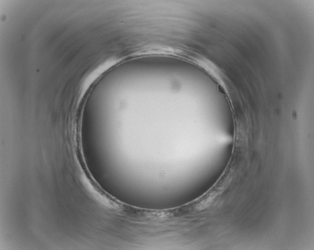 X0000066521003200603241332