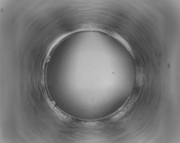 X0000066521004200603241332