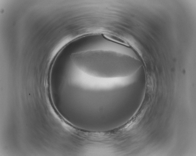 X0000066521007200603241332