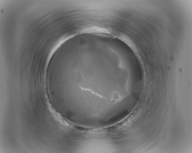 X0000066521008200603241332