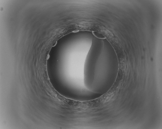 X0000066521009200603241331