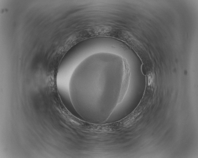 X0000066521011200603241331