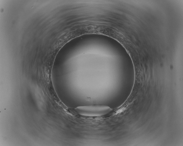 X0000066521013200603241331