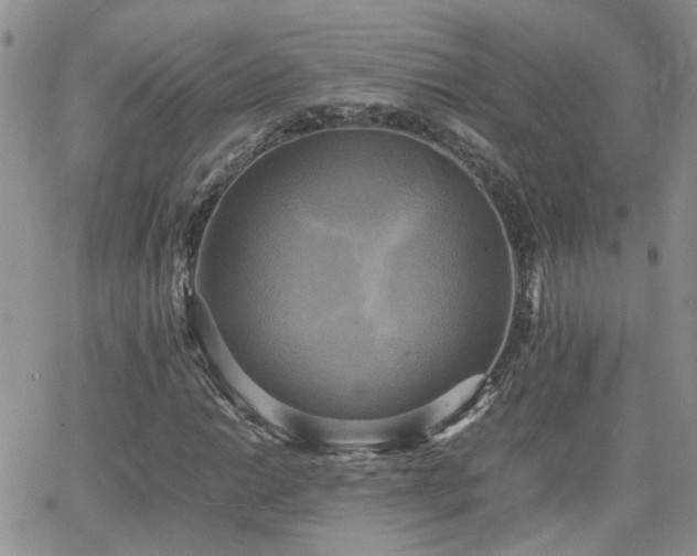 X0000066521014200603241331