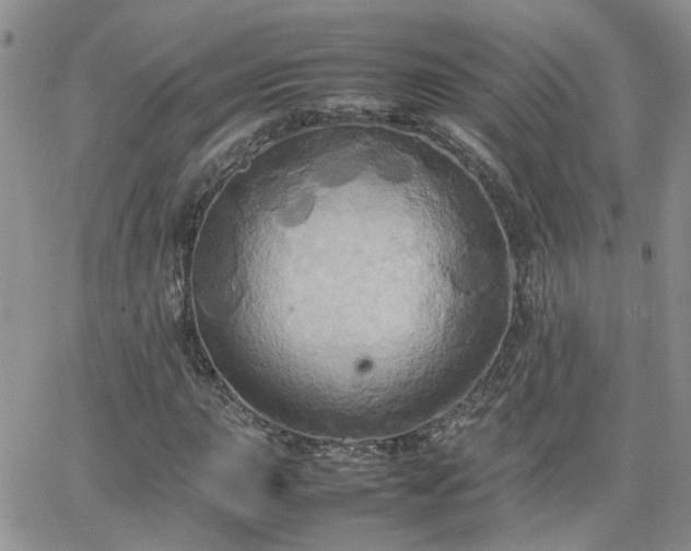 X0000066521015200603241331