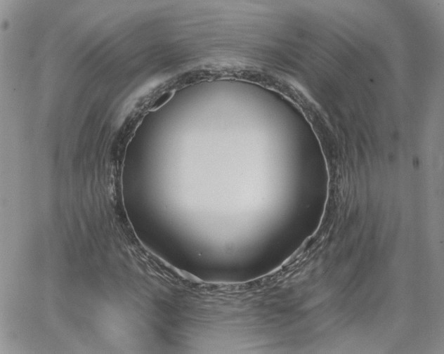 X0000066521016200603241331