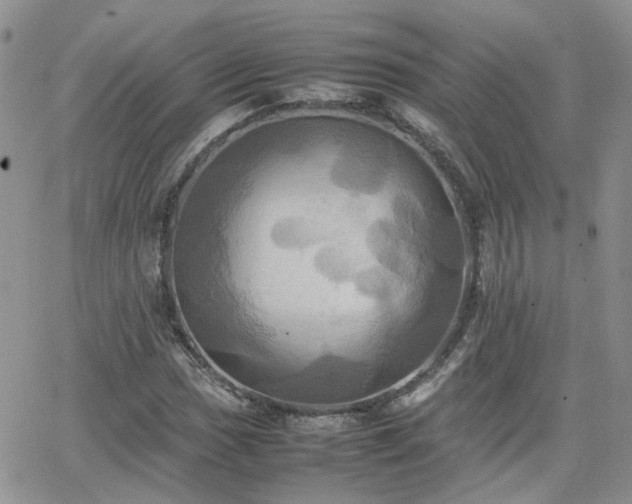 X0000066521017200603241331