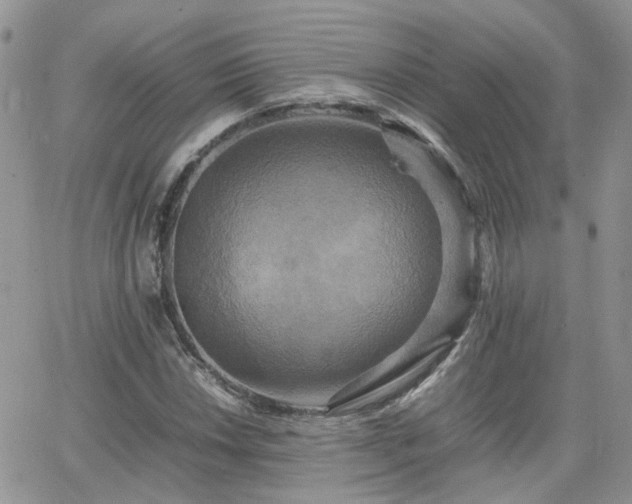 X0000066521018200603241331