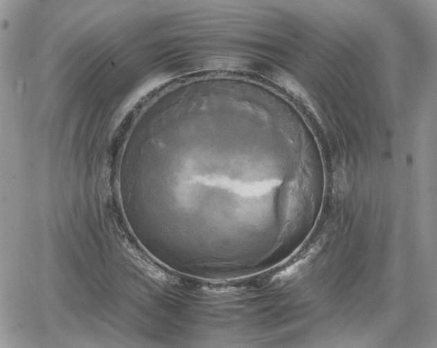 X0000066521019200603241331