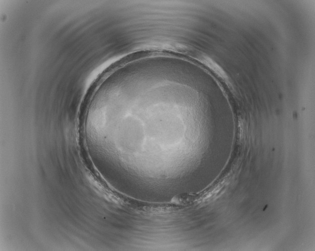 X0000066521020200603241331