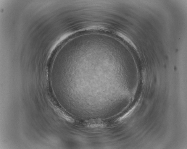 X0000066521021200603241331