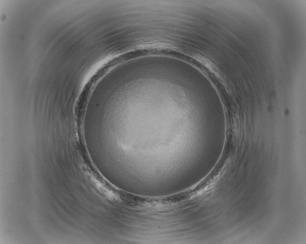 X0000066521022200603241331