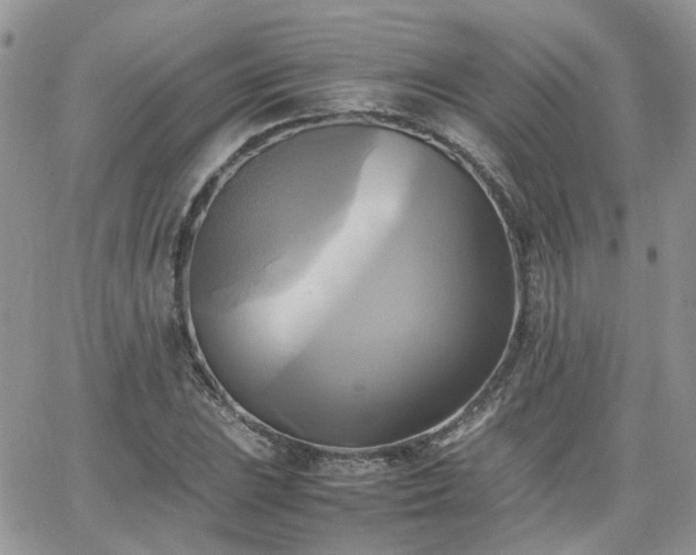 X0000066521023200603241331