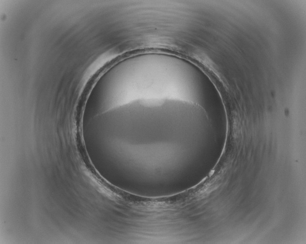 X0000066521024200603241331