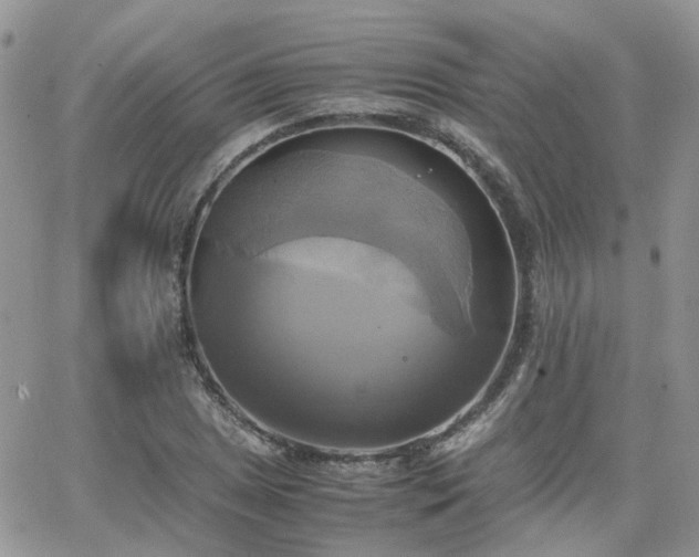 X0000066521025200603241331