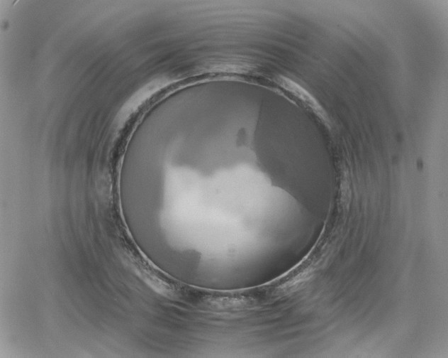 X0000066521027200603241331