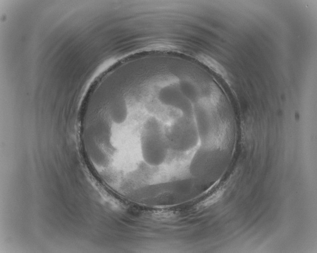 X0000066521029200603241331