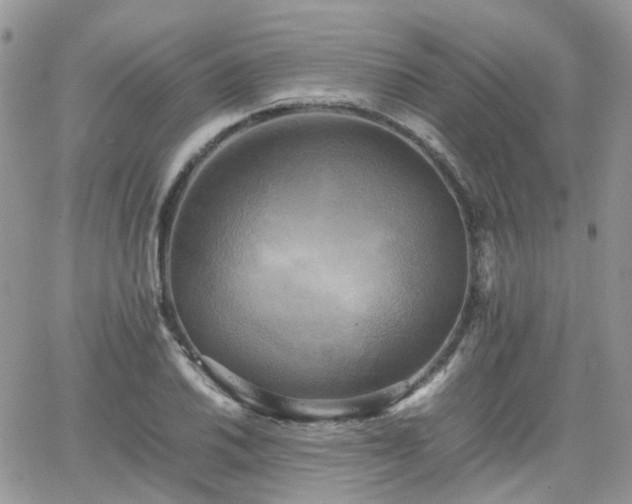 X0000066521030200603241331