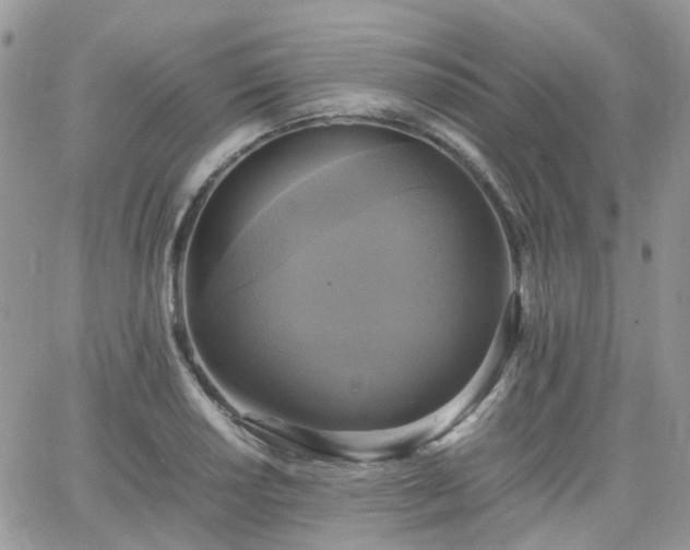 X0000066521034200603241331