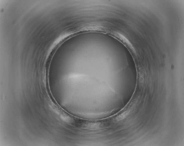 X0000066521035200603241331