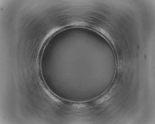 X0000066521037200603241331