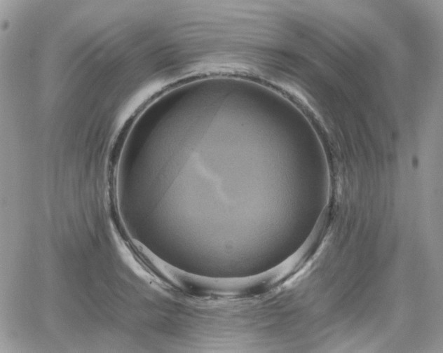 X0000066521038200603241331