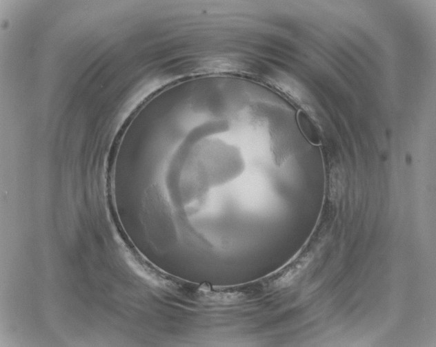 X0000066521039200603241331