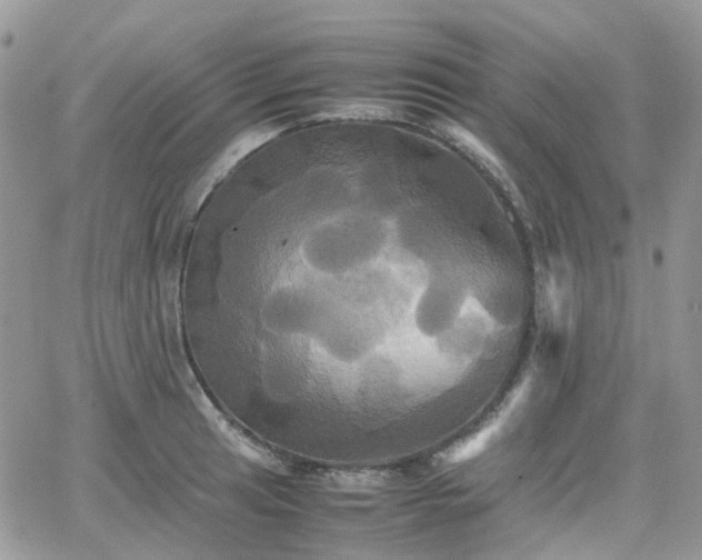 X0000066521041200603241331